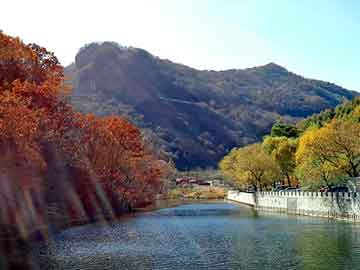 新澳天天开奖资料大全旅游团，鸽子笼图片